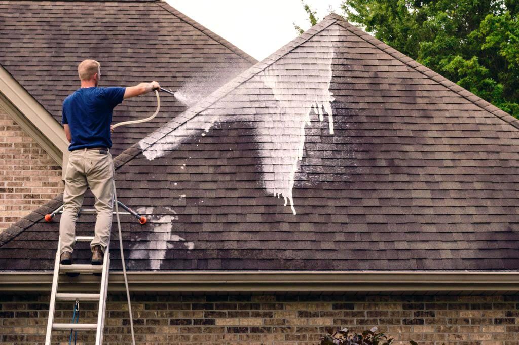Roof Cleaning Companies in Annapolis
